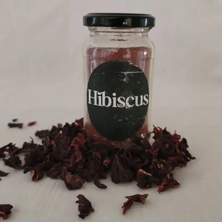 Hibiscus Flower 